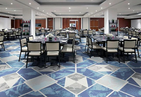 阿克明斯特地毯--滿鋪餐廳酒店地毯TMGQ114