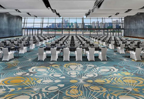 阿克明斯特地毯--大型會議室地毯TMGQ103